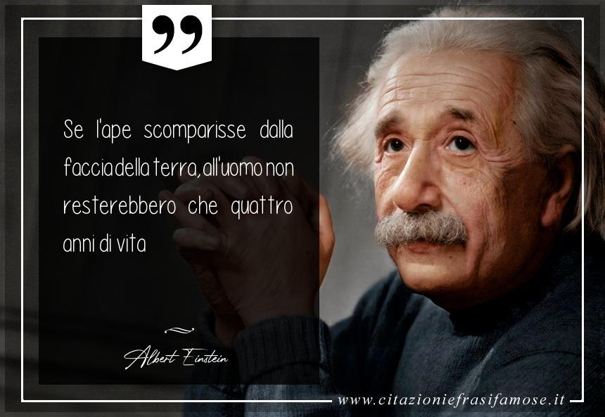 Se l'ape scomparisse dalla faccia della terra, all'uomo non resterebbero che quattro anni di vita