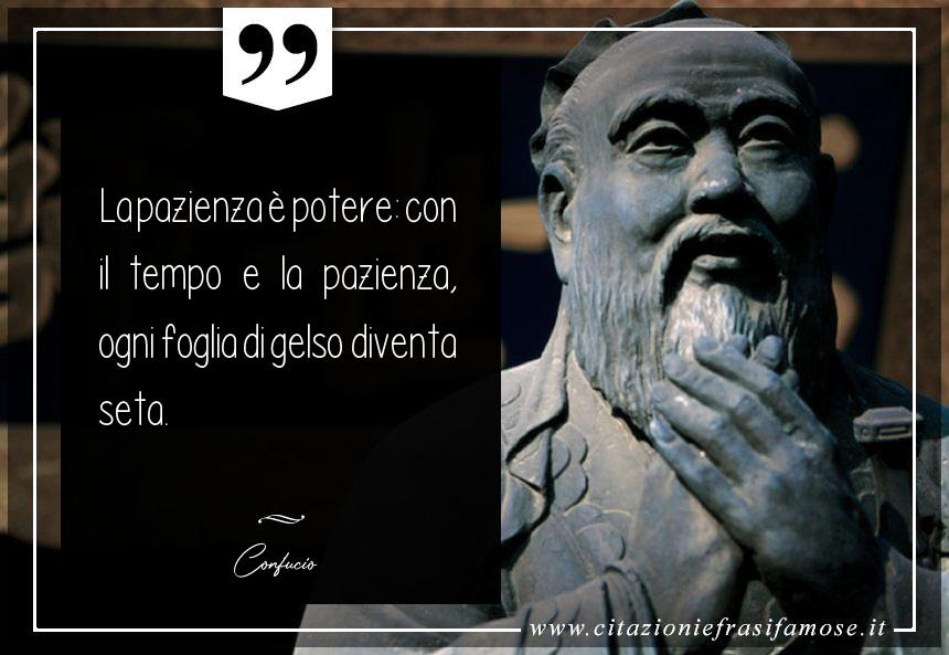 La pazienza è potere: con il tempo e la pazienza, ogni foglia di gelso diventa seta.