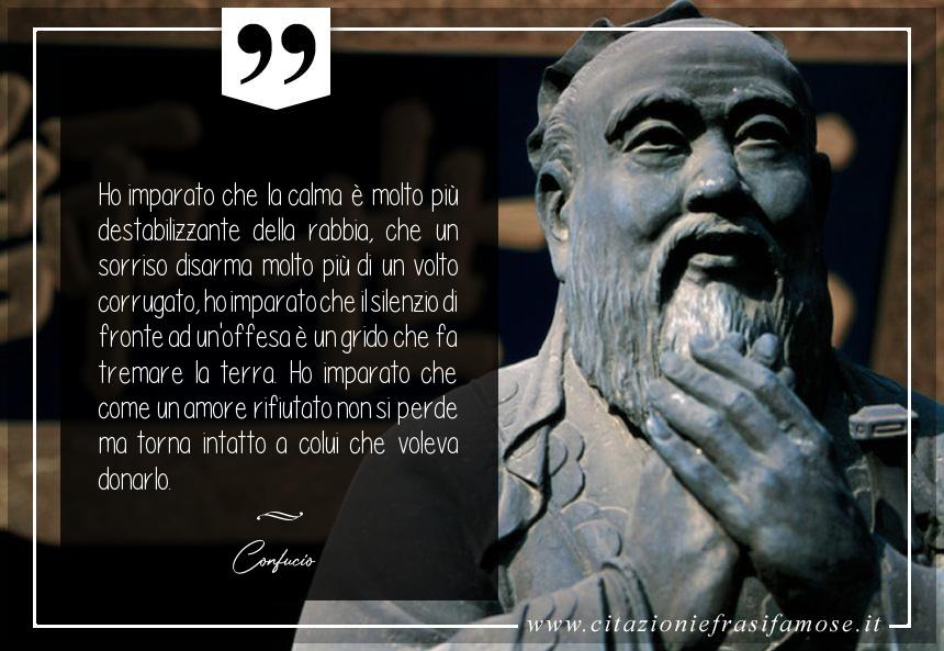 Ho imparato che la calma è molto più destabilizzante della rabbia, che un sorriso disarma molto più di un volto corrugato, ho imparato che il silenzio di fronte ad un'offesa è un grido che fa tremare la terra. Ho imparato che come un amore rifiutato non si perde ma torna intatto a colui che voleva donarlo.