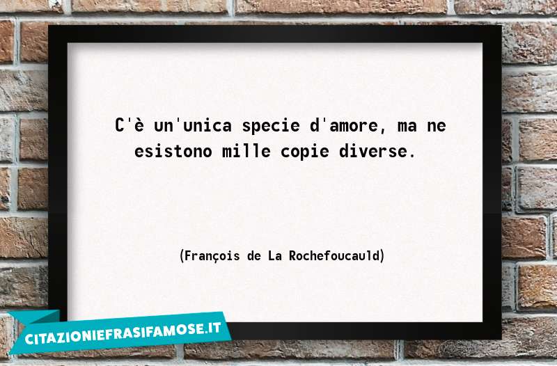 C'è un'unica specie d'amore, ma ne esistono mille copie diverse.