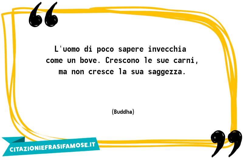 L'uomo di poco sapere invecchia come un bove. Crescono le sue carni, ma non cresce la sua saggezza.