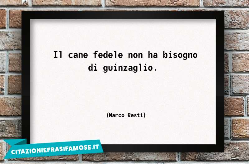 Il cane fedele non ha bisogno di guinzaglio.