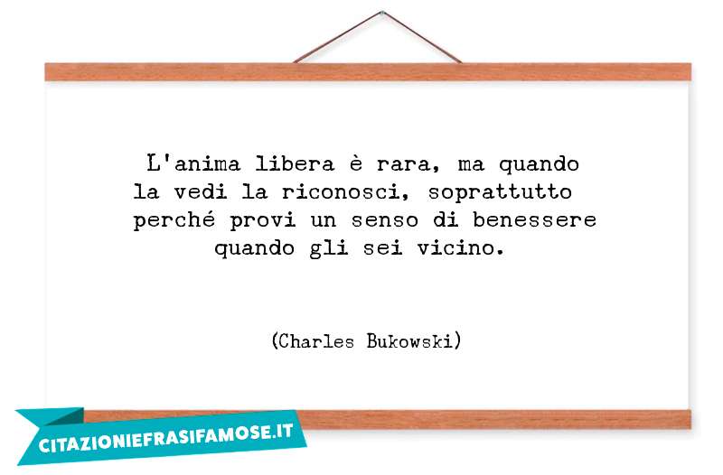 L'anima libera è rara, ma quando la vedi la riconosci, soprattutto perché provi un senso di benessere quando gli sei vicino.